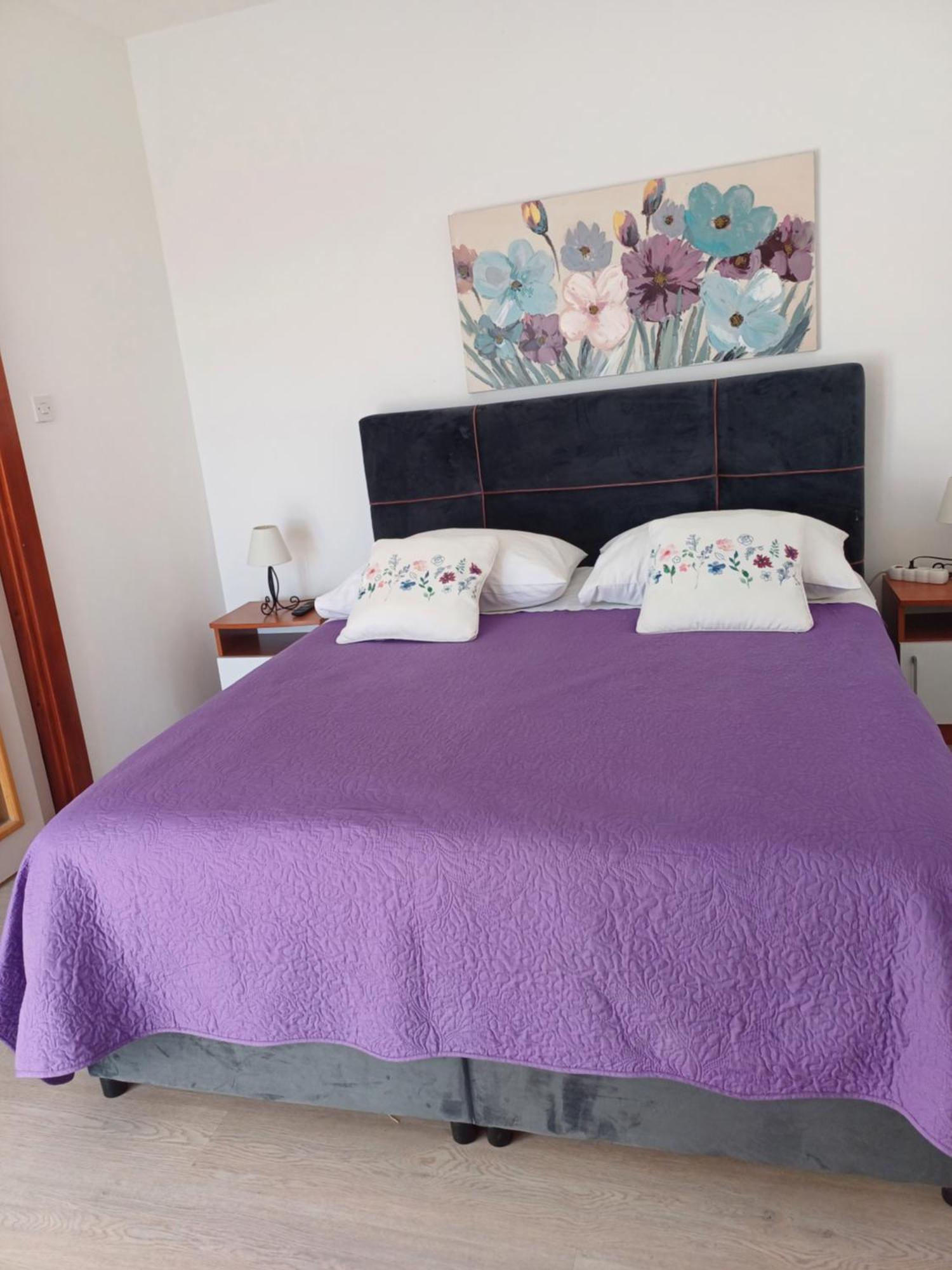 Jure Miljak Apartment